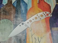 Spyderco  Mule Team MT36P,  AEB-L Fixed Blade Plain Edge Knife