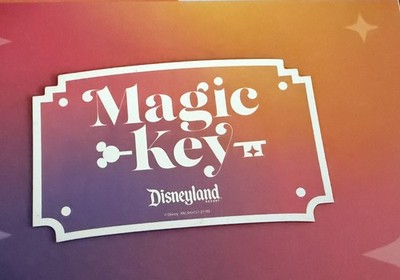 Disneyland Magic Key Annual Pass Magnet 