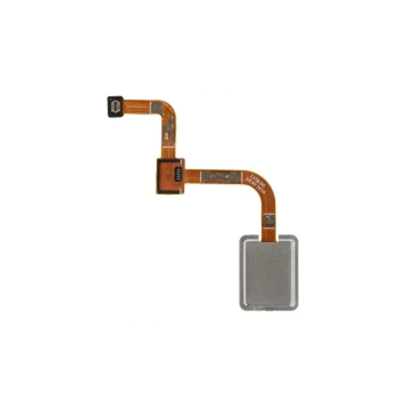 Picture 1