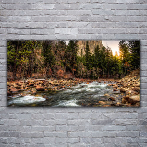 Glass print Wall art 120x60 Image Picture Forest Lake Nature - Picture 1 of 6