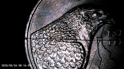 2007 Idaho State Quarter Error Cracked Die Break Multi-cracks NMt Condition - Picture 2 of 11