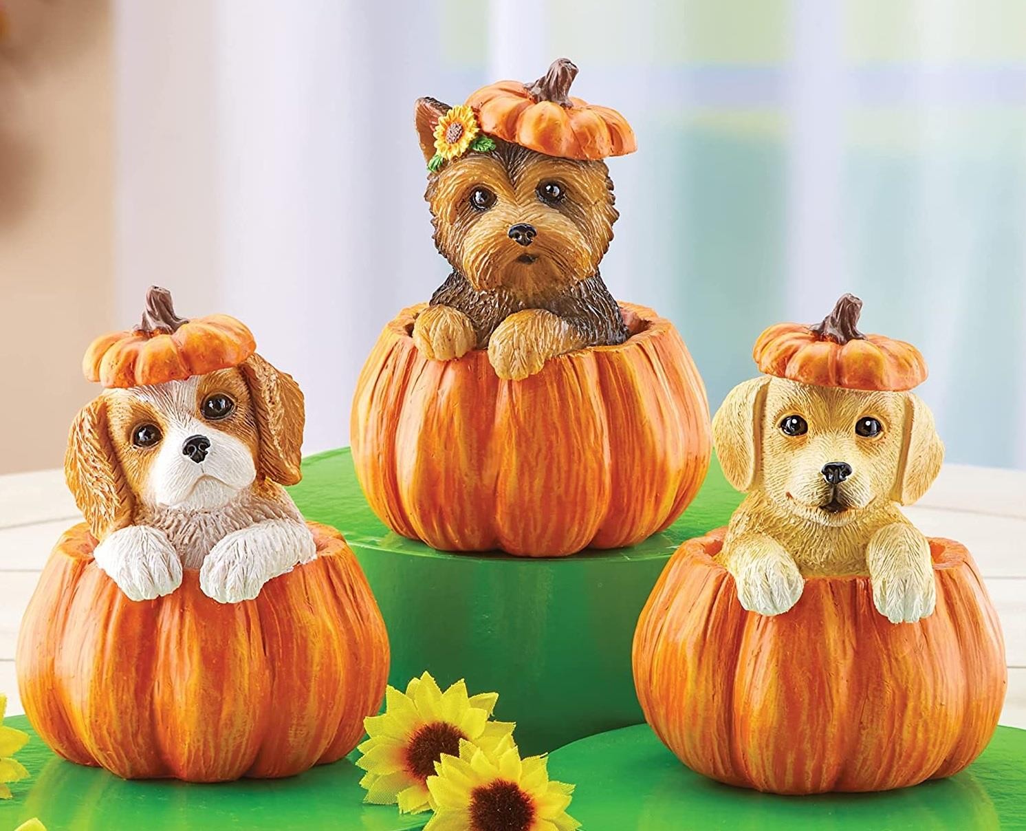 3-PC Puppies Peeking Out of Fall Pumpkins Hand-Painted Resin Figurines 5