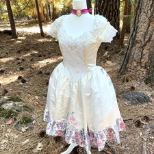 Marie Antoinette Costume dress gown womens size 8 Baroque Roococo hand painted