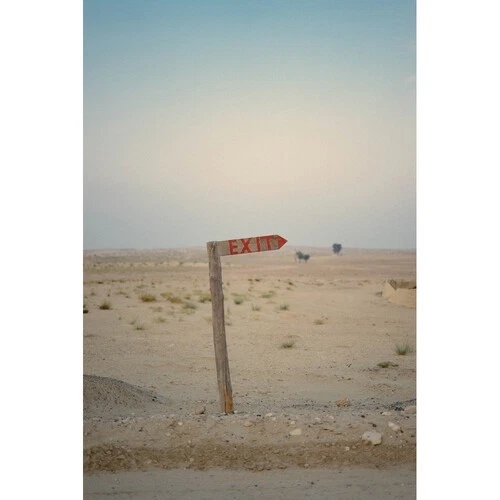 Película negativa a color Kodak Professional Portra 400 (película de 120 rollos, paquete de 5) Foto 3 de 3