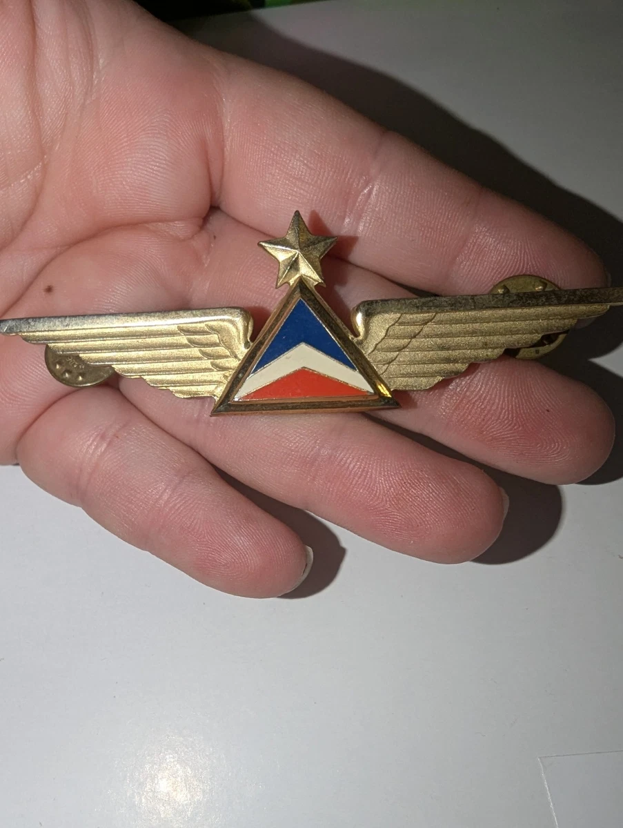 Las mejores ofertas en Insignias y pines Delta Airlines de