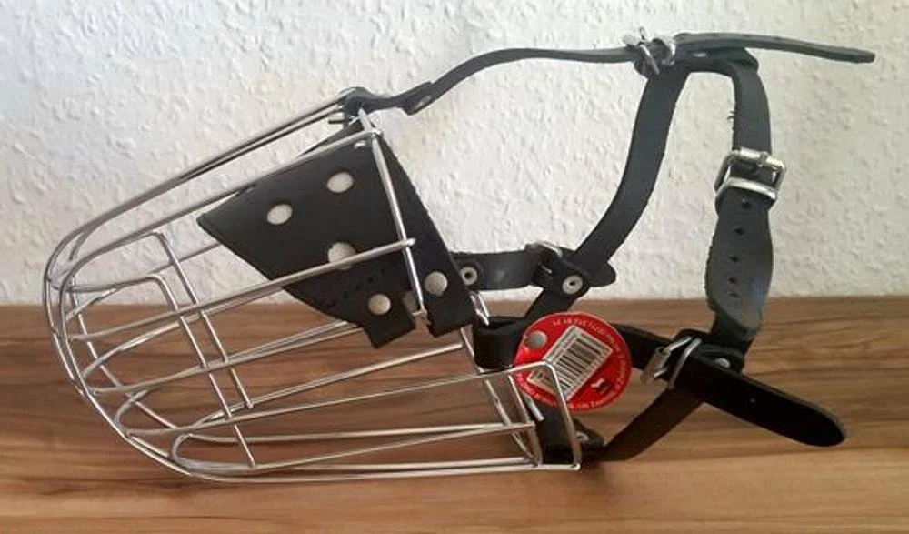 Bild 47 von 74