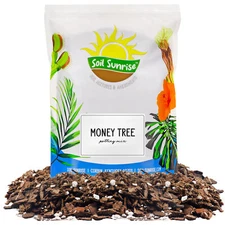 Money Tree Potting Soil Mix; Custom Blend for Money Plant Container Gardening
