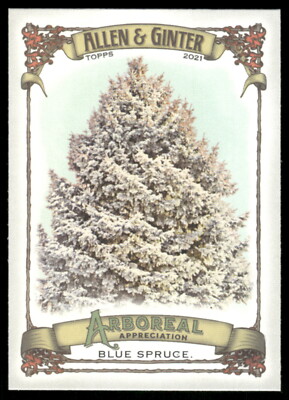 2021 Topps Allen & Ginter #AA-1 Blue Spruce Arboreal Appreciation