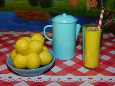 Our Generation Picnic Table Fun Adventure Replacement Lemonade, Lemons Pitcher
