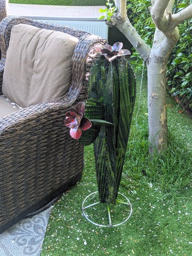 Decoración de jardín de cactus | Decoraciones de cactus para tu patio u hogar - Imagen 4 de 8