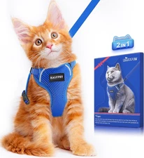"FINAL SALE" Cat Harness and Leash Set Escape Proof Soft Adjustable Size Medium