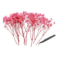 30 Pcs Dried Gypsophila Flower 4" Pink Pressed Flowers with Tweezer