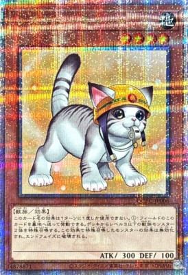 Yugioh Rescue Cat QCAC-JP006 Quarter Century 25th Japanese Artwork