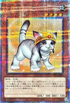 【ねこ】遊戯王 QUARTER CENTURY ART 6BOX Yugioh Rescue Cat QCAC-JP006 Quarter Century 25th Japanese Artwork
