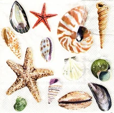 (2) Two Paper Lunch Napkins for Decoupage/Mixed Media - Shells seashore beach