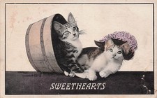 Antique Cat Illustration Fancy Kitten Sentimental Animal Cats Vtg Postcard I64