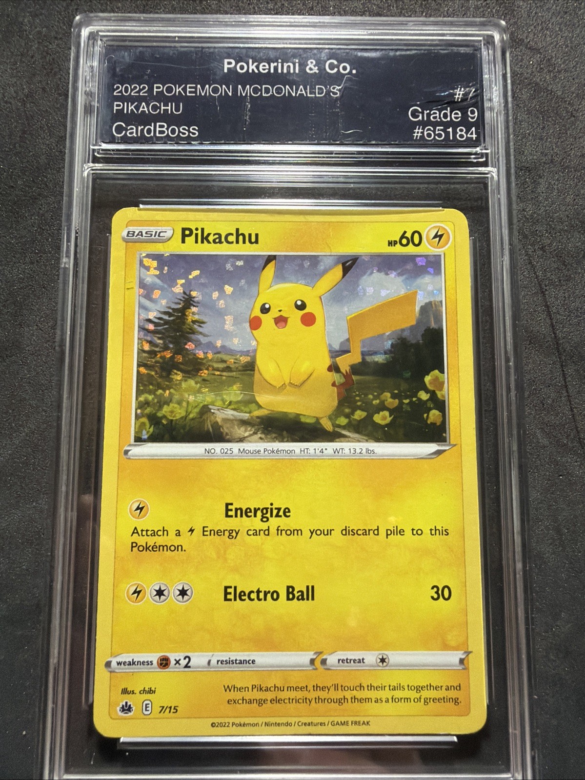 Pikachu #7