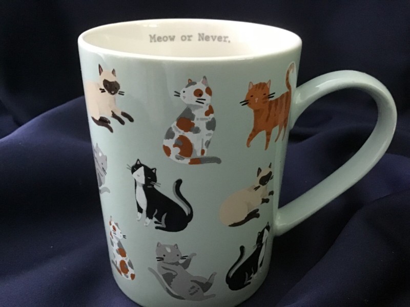 MEOW OR NEVER kitten cat STONEWARE MUG by LOBLAWS never used! NEW! EXCELLENT!