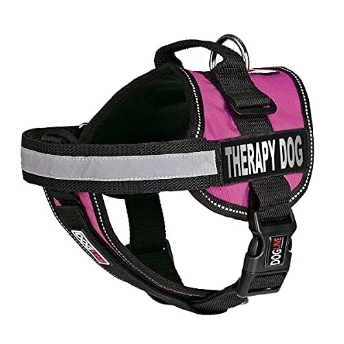 Vest Harness for Dogs and 2 Removable Therapy Dog Patches, Large/28 to 38