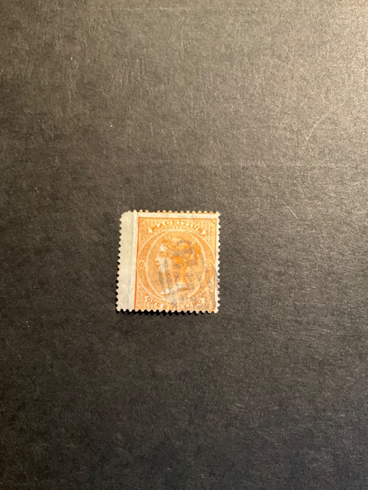 Picture 1 of 1
