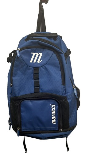 Vintage Patagonia Chouinard Equipment Backpack Dragon Rare Used