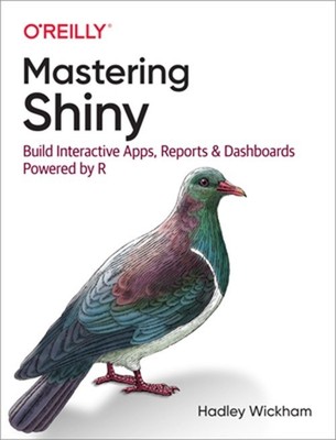 Mastering Shiny: Build Interactive Apps, Reports, and Dashboards Powered by R (P