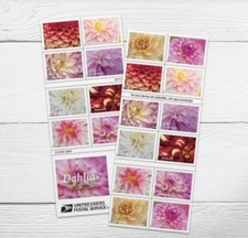 2025 Dahlia Forever USA Stamp Booklet Of 20, Multicolor
