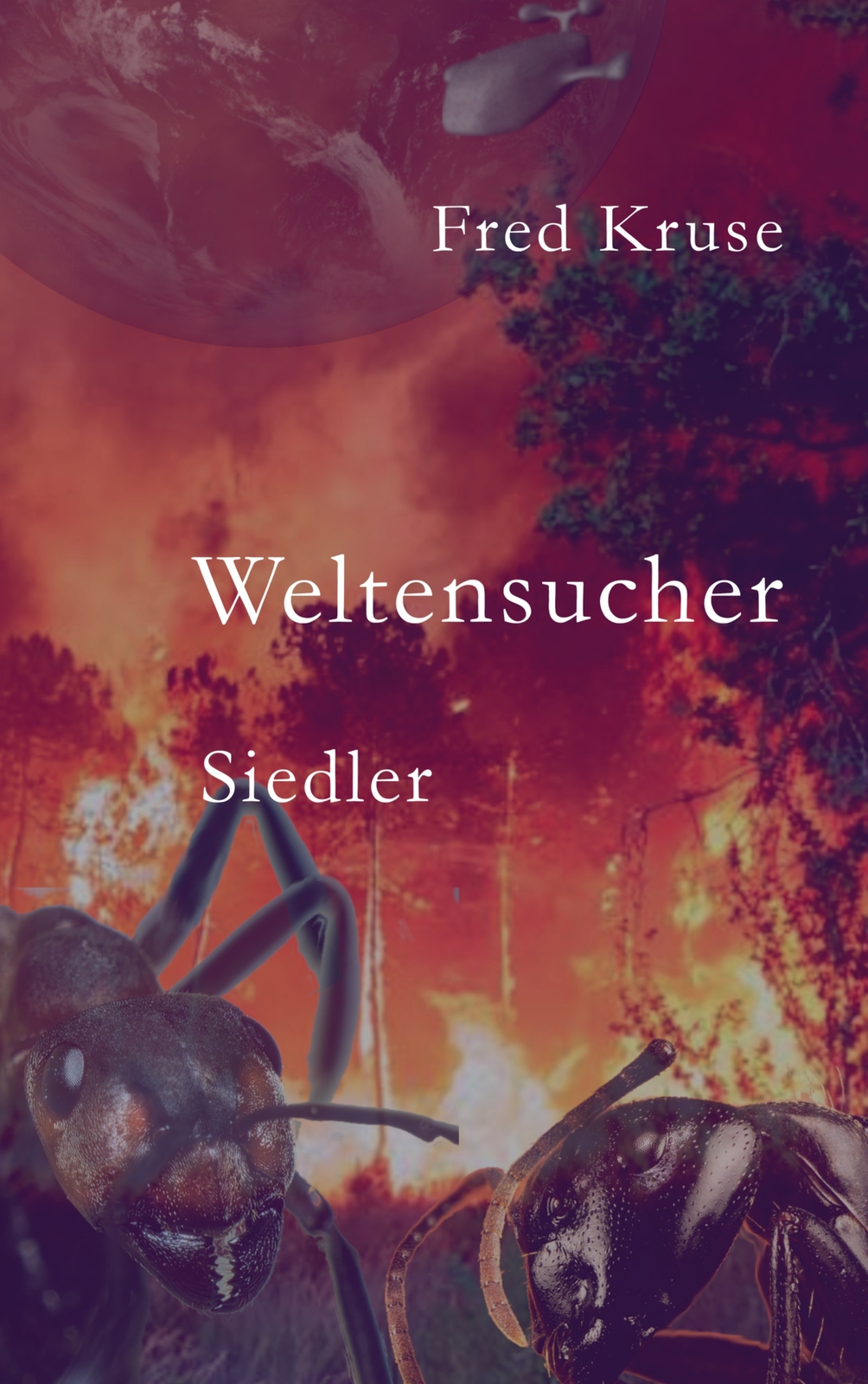 Weltensucher - Siedler (band 2) (buch)
