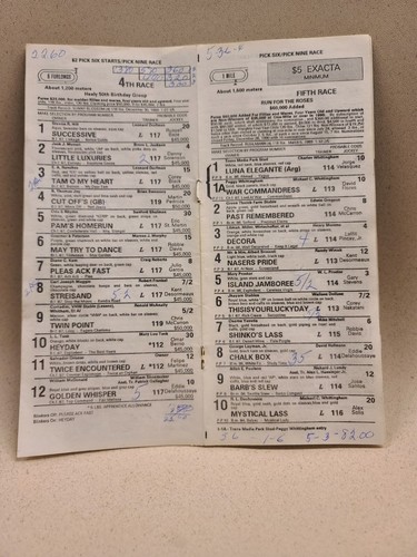 JANUARY 1 1991 ANITA PARK HORSE RACEWAY PROGRAM + BETTING TOTES - Picture 2 of 4