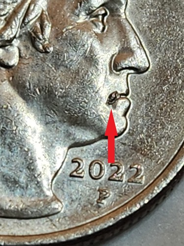 2023 P Maya Angelue Washington Quarter Large Cold Sore Die Chip Error obverse - Picture 2 of 4