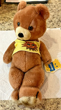 Vintage 1983 Dakin Nature Babies Sunshine Beach Bear Excellent Condition