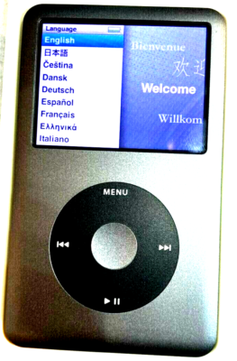 Apple iPod classic 7th Generation Gray Black (1TB) - Bundle with