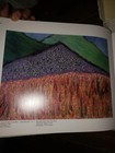 Picture 5 of 5
