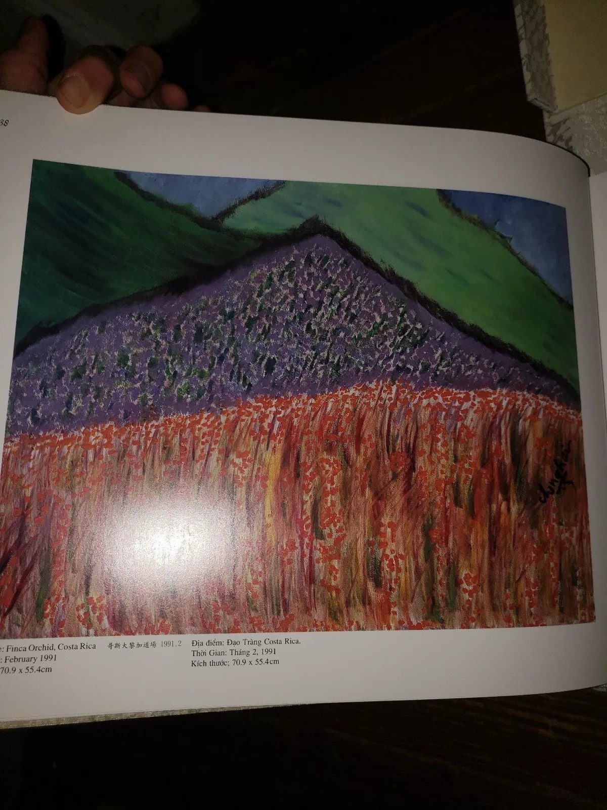 Picture 5 of 5