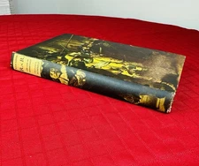 The Life of Rembrandt Van Rijn Hendrik Willem Van 1st Edition  1930 RARE Artist