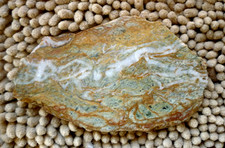 Coastal California Sea Jasper Slab for cabochons, display, wire wrapping 12 oz