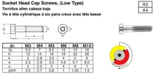 Stainless Steel Low Cap Head Socket Screws /Bolts DIN 7984 Metric M3 M4 M5 M6 M8