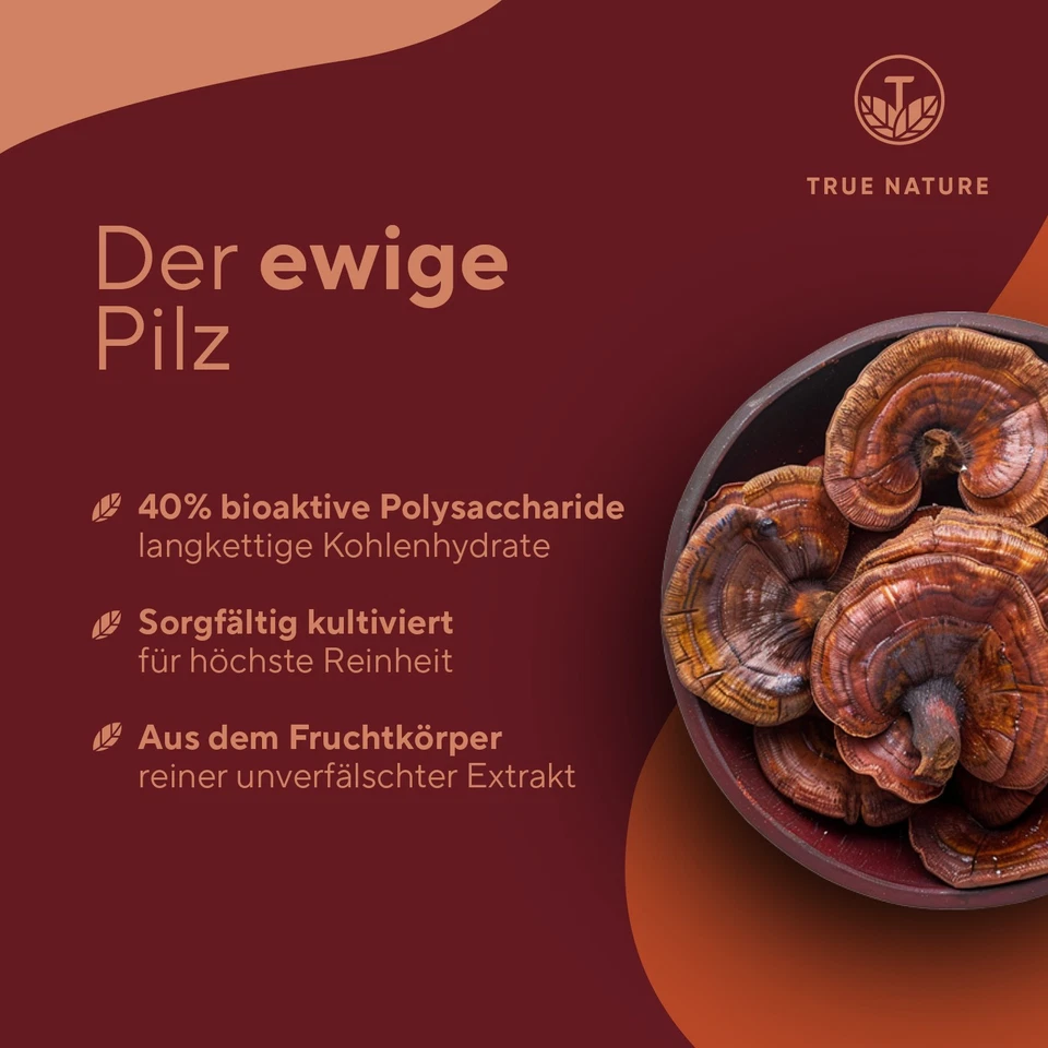 Reishi Pilz Extrakt - 270 Kapseln (3 Monate) - Hochdosiert 2010mg - TRUE NATURE® - Bild 3 von 4