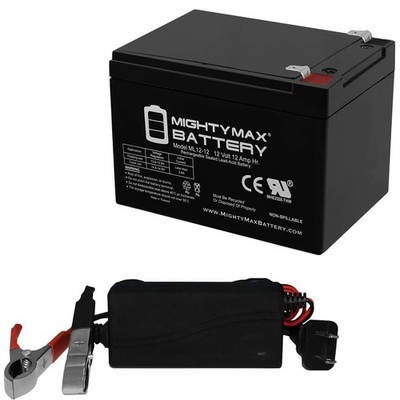 Mighty Max 12V 12AH Battery Replacement for TalentCell LF120A1 + 12V Charger