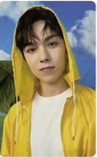 SEVENTEEN SEVENTEENTH HEAVEN STANDARD CARAT ver. OFFICIAL PHOTO CARD - Picture 125 of 130