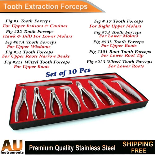 Surgical Tooth Forceps Extracting Extraction Root Loosening Lower Upper Molars - Picture 3 of 4