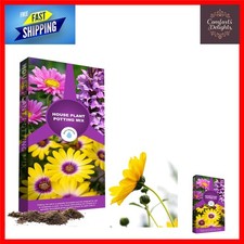 Nutrient-Rich Indoor Plant Potting Mix - 10L Seaweed Compost for Thriving Plants