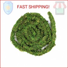 Supermoss Gal pagos 05266 MossVine, Real Moss Vine, 12FT, Green