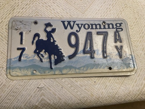 AMERICAN WYOMING BUCKING BRONCO GRAPHIC # 17 947 AE RARE NUMBER PLATE - Picture 1 of 1