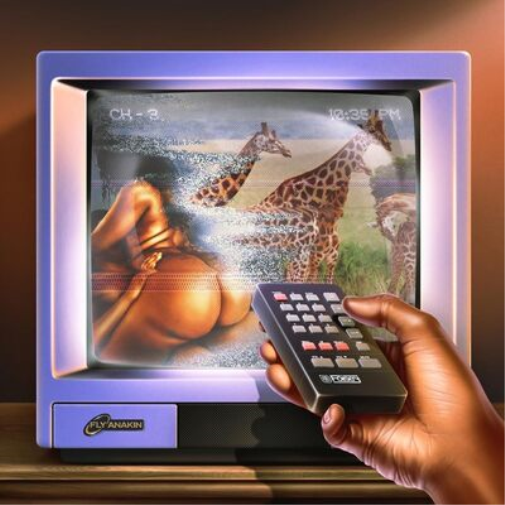 Fly Anakin Skinemaxxx (CD) Album