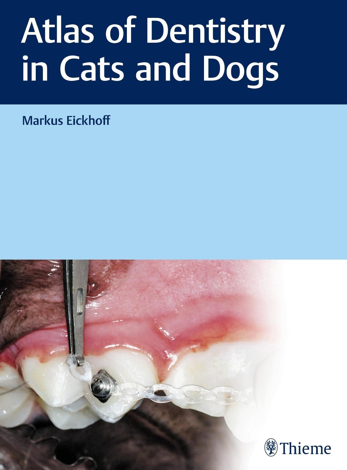 Thumbnail - Atlas Of Dentistry In Cats And Dogs Markus Eickhoff Buch 468 S.