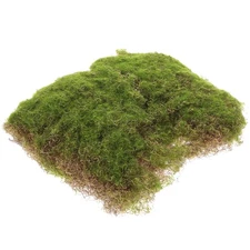 Mini Garden Artificial Moss Fake Mat Micro Landscape Grass Carpet