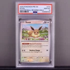 Eevee (Master Ball Pattern) 074/131 Sv: Prismatic Evolutions Holo