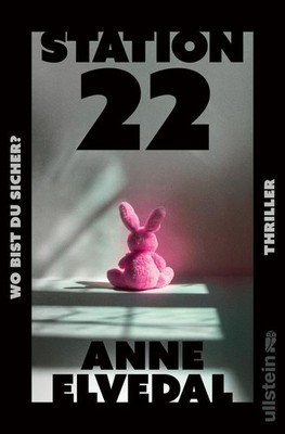 Station 22. Wo bist du sicher? Thriller | Ein nordischer Thriller, eisiger al...