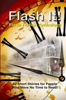 Flash It! Multiple Writers Taschenbuch Kartoniert / Broschiert Englisch 2013